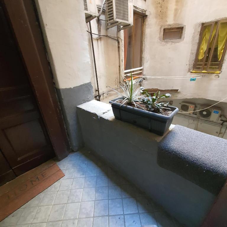 Napolix Centro, Intero Appartamentino, Casa Vacanze, Suite Tricamere Nel Cuore Di Napoli Екстер'єр фото